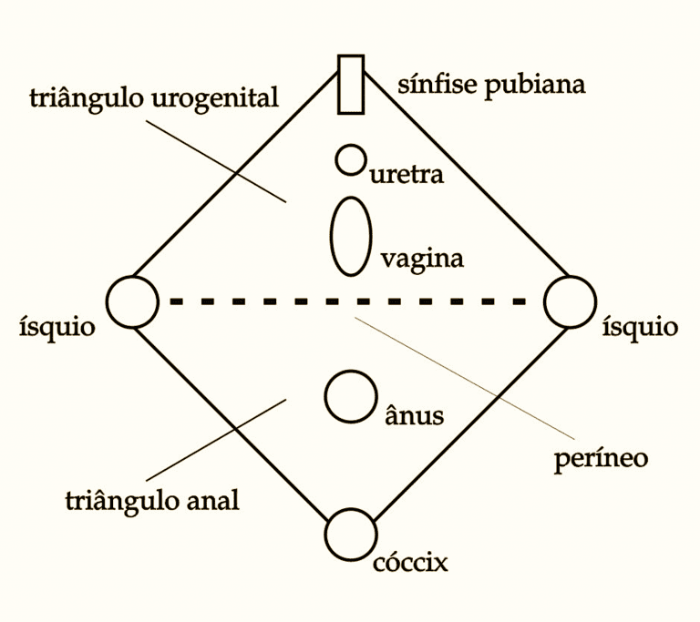 mūlabandha