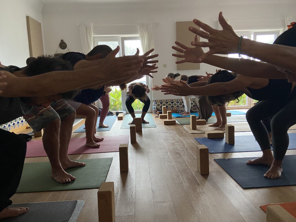 Braços estendidos em utkaṭāsana, a postura da cadeira, com blocos sob as mãos.