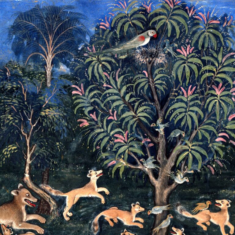 Miniatura mogol c. 1560: árvore com um ninho de papagaios no alto e filhotes de raposa ao pé do tronco